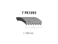 Auxiliary belt DT Spare Parts