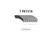 Auxiliary belt DT Spare Parts