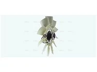 Ventilador AVA Cooling 7482211815