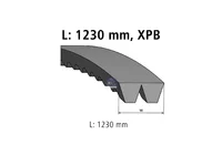 Auxiliary belt DT Spare Parts 6139970692