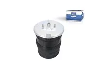 Luftfederbalg DT Spare Parts 1793521