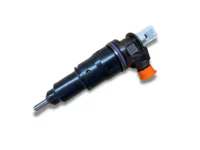 Injector Delphi Corporation 22187569