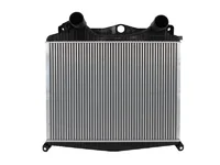 интеркулер Nissens 81061300155