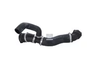 Schlauch DT Spare Parts 2305702