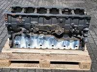 Blocco cilindri Renault 7423295509