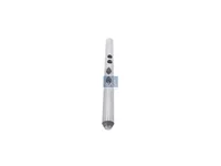 Kolbenstange DT Spare Parts 1521944