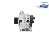 Wechselstromgenerator DT Spare Parts 1976289RN