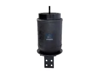 Luftfederbalg DT Spare Parts 99462841