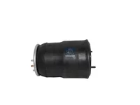 Luftfederbalg DT Spare Parts 2373115
