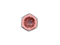 Ladedrucksensor DT Spare Parts 81271210067