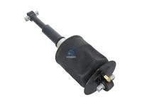 Amortizer DT Spare Parts 81436506048