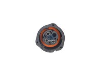 Cablaggio DT Spare Parts