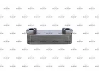 Oil cooler NRF 51056010172