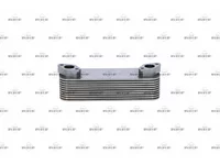 Oil cooler NRF 51056010172