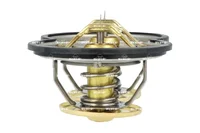 Thermostat NRF 1347594