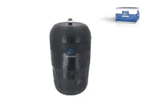 Luftfeder DT Spare Parts 9423204721S
