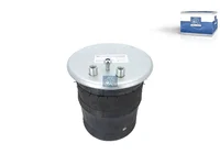 Luftfeder DT Spare Parts 81436006056