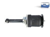 Amortizer DT Spare Parts 5801983973