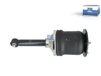 Amortizer DT Spare Parts 5801983973