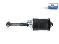 Amortizer DT Spare Parts 81436506044