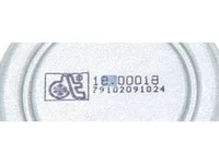 Predfilter goriva DT Spare Parts