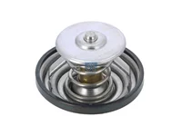 Termostat DT Spare Parts 51064010049