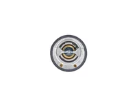 Thermostat DT Spare Parts