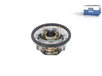 Thermostat DT Spare Parts