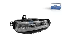 Nebelscheinwerfer DT Spare Parts 23752746