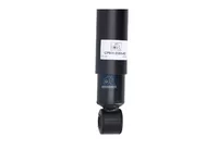 Amortizer DT Spare Parts 98461195