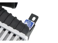 Intercooler DT Spare Parts 5001873638