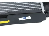 Kühler DT Spare Parts 5001874693