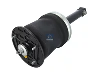 Amortizer DT Spare Parts 5010556291