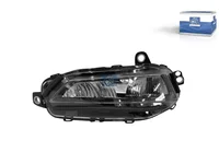 Nebelscheinwerfer DT Spare Parts 23752748