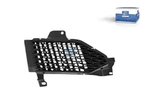 Trittblech DT Spare Parts 3131371