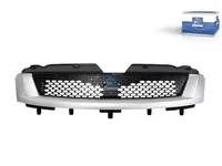 Grilă DT Spare Parts 5801255766
