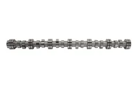 Nockenwelle BF Germany 1748794 Nockenwelle BF Germany 1748794