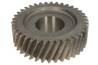 Pinón ZF 1904799 Pinón ZF 1904799