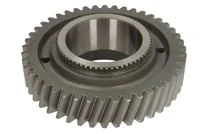 Pinón ZF Pinón ZF