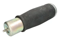 Molla daria Continental 2143931