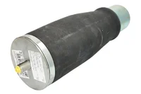 Molla daria Continental 2143931