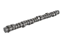 Nockenwelle BF Germany 7421189194 Nockenwelle BF Germany 7421189194