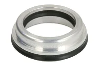 Piston ZF