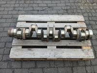 Arbore cotit DAF 2203576 Arbore cotit DAF 2203576