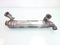 Radiatore EGR DAF 2194925