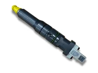 Injector Delphi Corporation 2119950