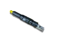 Injector Delphi Corporation 2119950