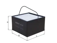 Krafstofffiltre Mahle 81125010021