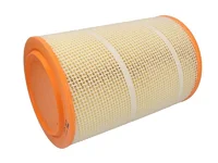 Filtre à air Mahle 20732730