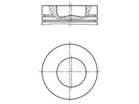 Piston Mahle 2996838